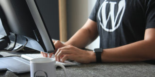 WordPress-expert-810.jpg