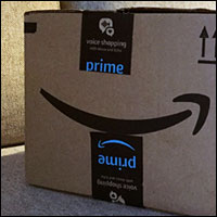 Amazon Gives FedEx the Boot for Christmas | E Commerce
