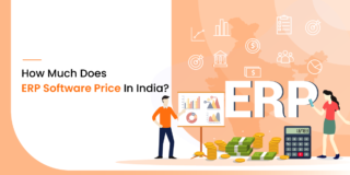 How Much Does ERP Software Price In India?
