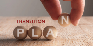 Free Transition Plan Templates (MS Word, Excel, PDF)