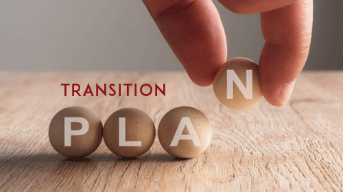 Free Transition Plan Templates (MS Word, Excel, PDF)