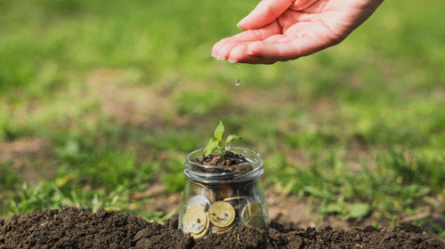 How to Write the Donation Request Letter (Format + Examples)