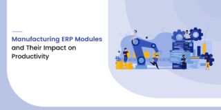 Manufacturing ERP Modules and Their Impact on Productivity