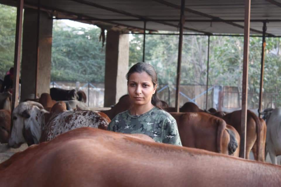 After IIM This Young Lady Quit Plush Job To Work With Cattle And Milk
