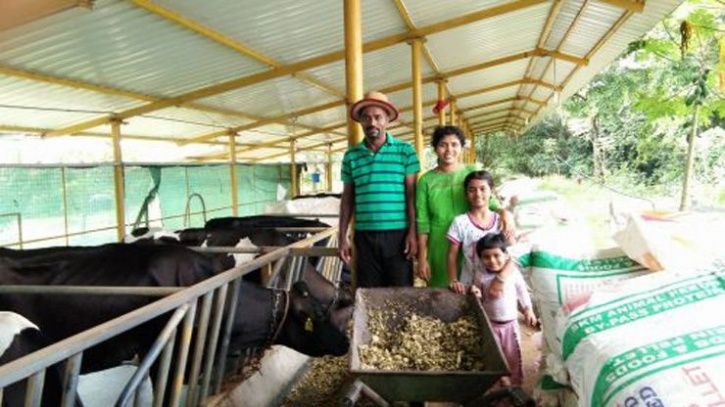 Read What’s His Valid Reason Behind Picking Dairy Farming Over His Monotonous Coding Job