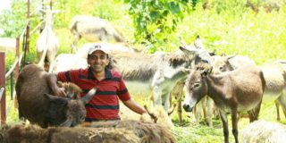 You Got To Read This! Donkey’s Milk Is His Money-Making Mantra