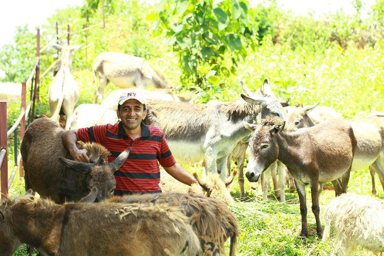 You Got To Read This! Donkey’s Milk Is His Money-Making Mantra