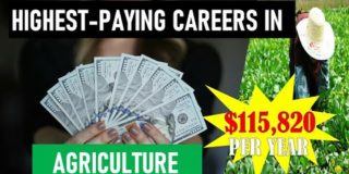 TOP 10 Highest-Paying Careers in Agriculture