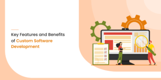 5 Key Features & Benefits of Custom Software Development 2021