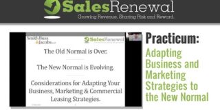 Adapting Business and Marketing Strategies to the New Normal