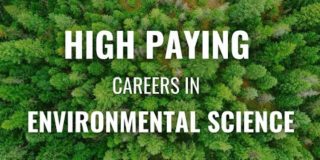 Top 8 Highest Paying Jobs in Environmental Science // Environmental Science Careers and Salaries
