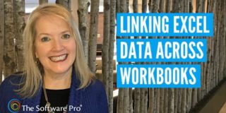 Microsoft Excel: How to Link Data in Multiple Workbooks; Linking Excel Data Across Workbooks