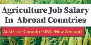 Agriculture jobs : Top  Highest Salary  Paying Countries For Agriculture | Farm Jobs