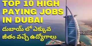 Top 10 high paying Jobs in dubai 2021 in telugu | best high paying jobs in telugu