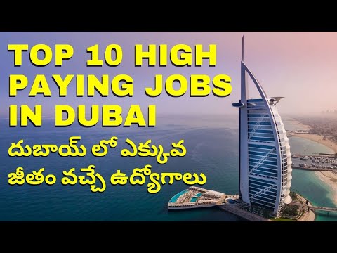 Top 10 high paying Jobs in dubai 2021 in telugu | best high paying jobs in telugu