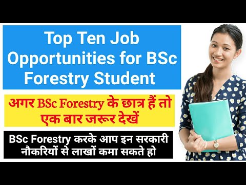 Top Ten Highest Salary Forestry Jobs Highest Paying Careers in Forestry | Agriculture GK