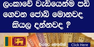 Highest paying job titles in Sri Lanka -ලංකාවේ වැඩියෙන්ම ගෙවන  ජොබ්
