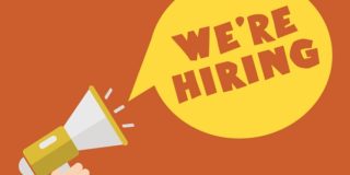 perfect startup candidates