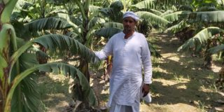 Uttar Pradesh Banana, Layer Farmer Gulam Mohammed's Inspiring Journey From Broke To Rs 4 Crores