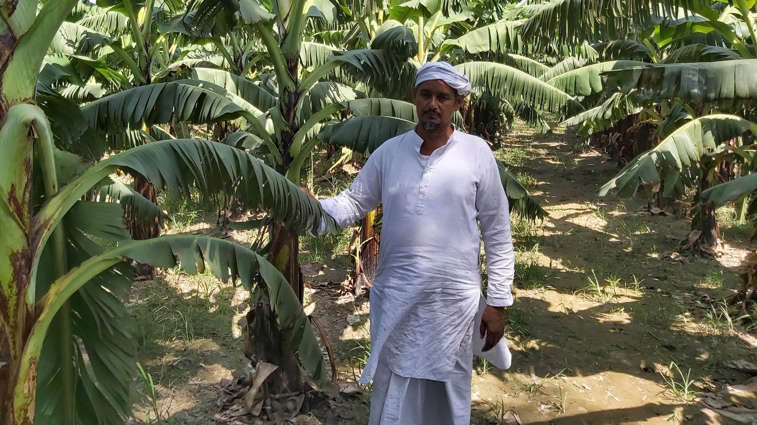 Uttar Pradesh Banana Layer Farmer Gulam Mohammeds Inspiring Journey From Broke To Rs 4 Crores