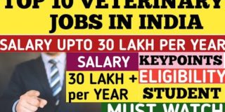 Top 10 Highest Salary Veterinary Jobs In INDIA | Veterinary jobs opportunities | Scope Of BVSc & AH🔥