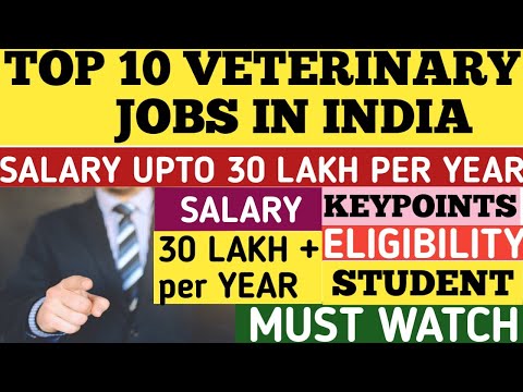 Top 10 Highest Salary Veterinary Jobs In INDIA | Veterinary jobs opportunities | Scope Of BVSc AH🔥
