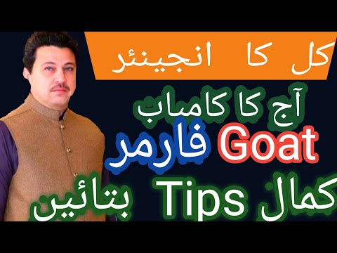 Goat Farming This man quits his high paid engineering job to do goat farming business in Pakistan