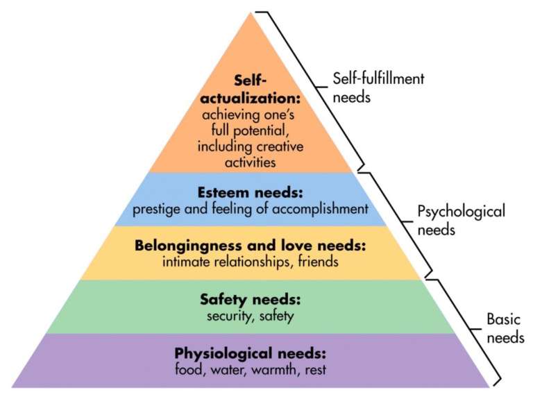 The Lowdown on Attention Span