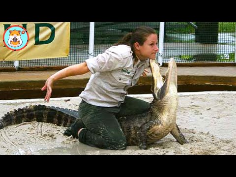 Top Highest Paying Jobs: Top 1 Be A Caretaker For Crocodiles #woaanimals