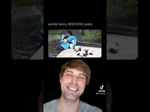 Fun Jobs That Pay Well #Shorts