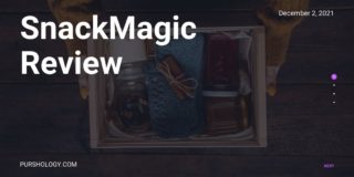 SnackMagic Review
