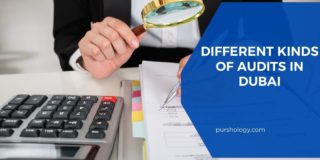 Different kinds of Audits in Dubai