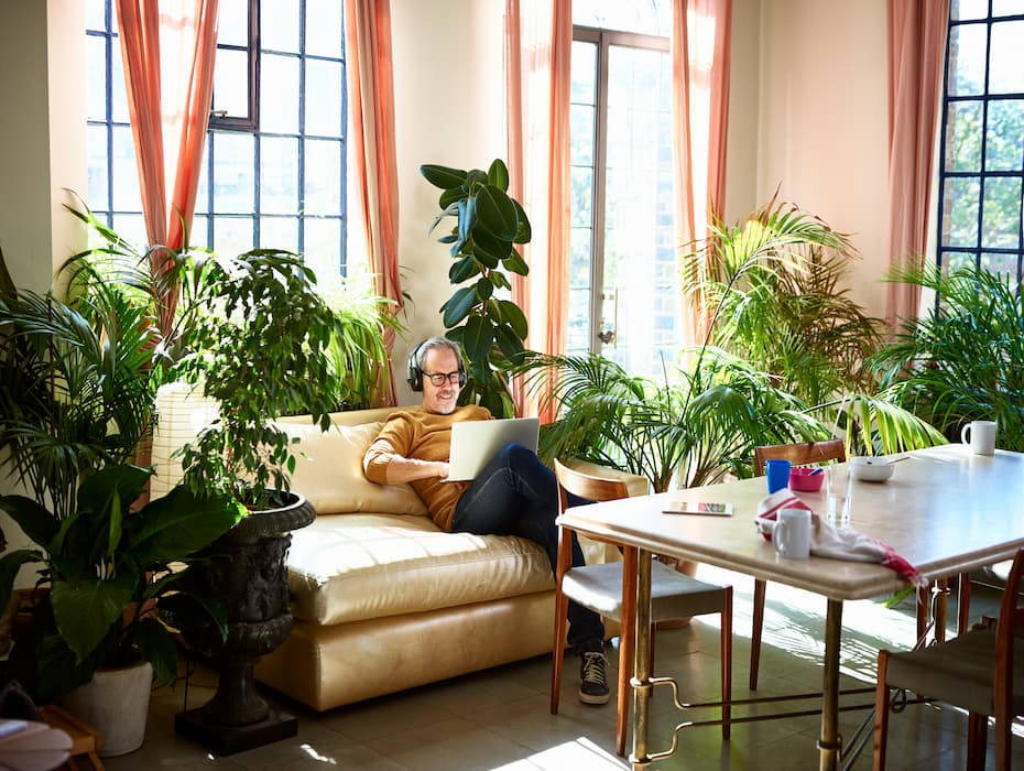Man sitting in a home filled with plants and sun engaging in virtual collaboration with remote colleagues