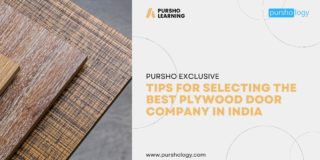 Tips For Selecting the Best Plywood Door Company in India