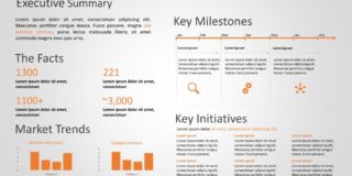Executive Summary PPT