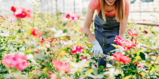 Sun Valley Floral Farms adds efficiencies while subtracting costs with RingCentral
