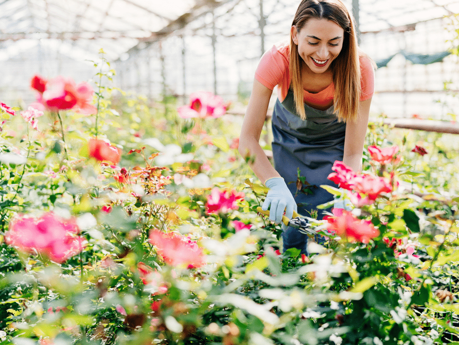 Sun Valley Floral Farms adds efficiencies while subtracting costs with RingCentral
