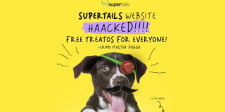 Case Study: How Supertails engaged its Instagram community on April Fool's Day