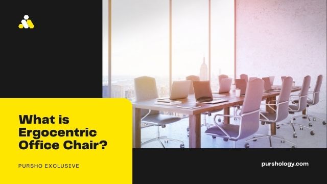 What is Ergocentric Office Chair?
