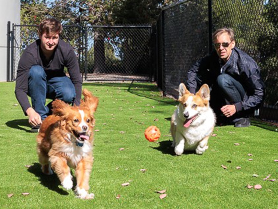 Paws for a moment | RingCentral