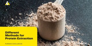 Different Methods for Protein Extraction
