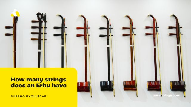 How many strings does an Erhu have