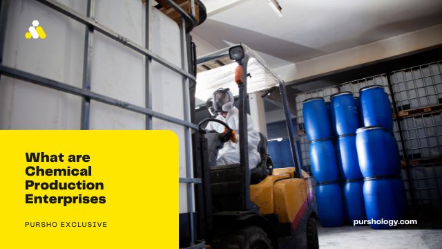What are Chemical Production Enterprises