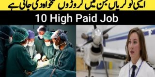 Top 10 Most Highest Paying Jobs In Pakistan|High Paying Jobs for students |vlogs with maila ruba