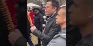 Elon Musk Spotted in Public