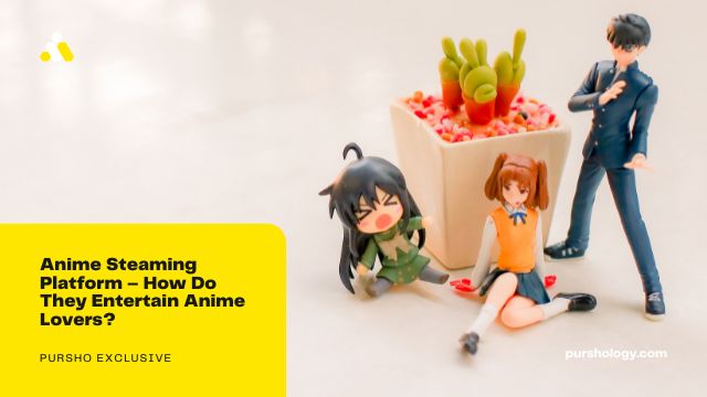 Anime Steaming Platform How Do They Entertain Anime Lovers