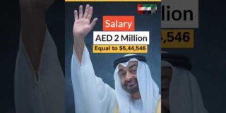 Highest Paying Government Job in United Arab Emirates 🇦🇪 | UAE #uaedirham #usd #shorts