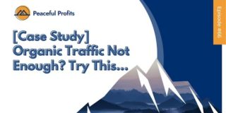 [Case Study] Organic Traffic Not Enough? Try This…