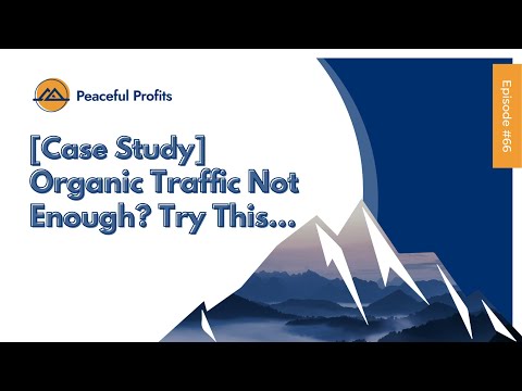Case Study Organic Traffic Not Enough Try This