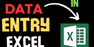 Excel Data Entry Work In Hindi || Excel Tutorial #excel